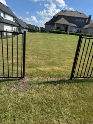 Ornamental iron gate